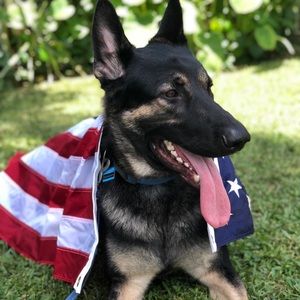 Meet your Posher, Nicholas